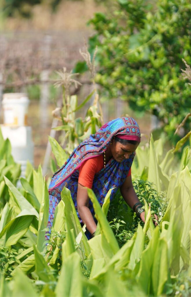 woman_in_field_1200x1800